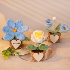 May include: Crocheted flower arrangements in small pots. The flowers are blue, white, and yellow, with green leaves. Each pot has a wooden heart attached. One pot has the name "Noah" on it.