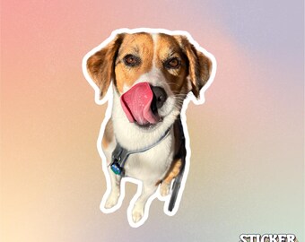 Custom Dog/Cat Stickers