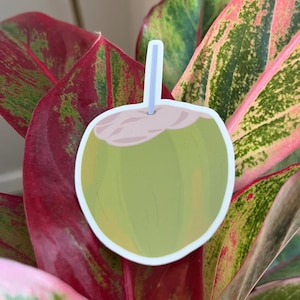 May include: A green coconut with a straw sticking out of the top, on a background of red and green leaves.