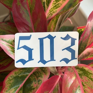 May include: A white rectangular sticker with the number "503" in a bold, blue, gothic font. The sticker is set against a backdrop of vibrant, variegated plant leaves in shades of red, pink, and green.