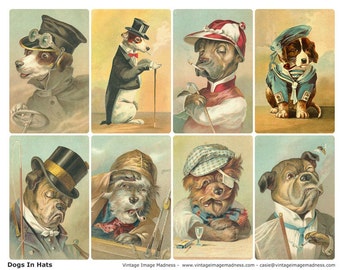 DOGS IN HATS Vintage Images - Instant Download Digital Collage Sheet