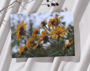Yellow Wildflowers Wall Art – Botanical Digital Print, Nature Photography, Floral Printable for Home Decor
