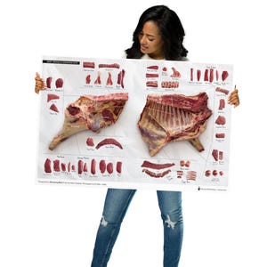 Beef Cuts & Primals Butchery Wandposter