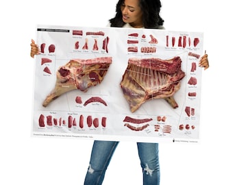 Beef Cuts & Primals Butchery Wall Poster