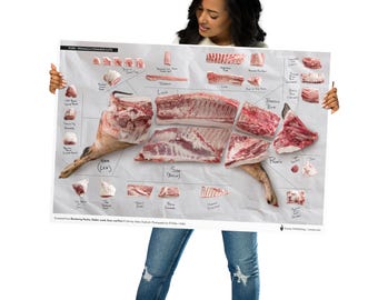 Pork Cuts & Primals Butchery Wall Poster