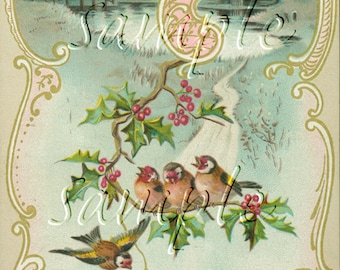 Antique Victorian Birds on a Limb Holiday Christmas Holly Postcard digital Download