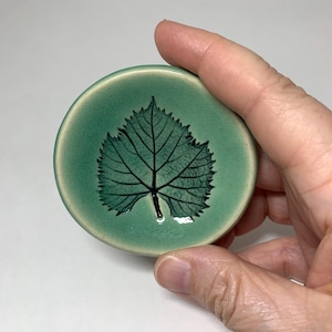 May include: A small, round ceramic dish with a smooth, glossy finish in a soft sage green color. The center of the dish features a detailed, dark green, hand-painted leaf design with prominent veins, creating a clear contrast against the lighter base.