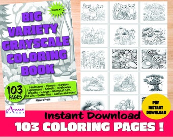 Big Variety Grayscale Coloring Book Volume Two 103 Pages !Instant Download