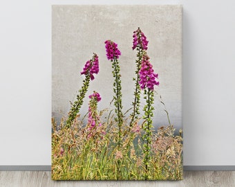 Foxgloves, Co. KERRY , Ireland Landscape Photo, Beautiful Tall PINK Flowers, IRISH Flora and Fog, Large Print, Country Garden Wildflowers