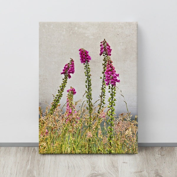 Foxgloves, Co. KERRY , Ireland Landscape Photo, Beautiful Tall PINK Flowers, IRISH Flora and Fog, Large Print, Country Garden Wildflowers