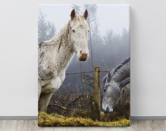 Albino Horse, Wicklow Mountains, Equine Art, Ireland Photography, Horse Art, Country Decor, Scandinavian, Desaturated, Ireland Landscape