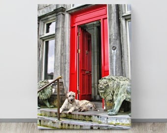 IRISH WOLFHOUND Photo, Red Door, Ballyseede Castle, Co. Kerry,IRELAND,Dog Lover, Wolfie,Mr. Higgins,Animal Photography,he Kingdom,Irish Gift