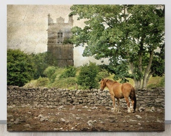 My Kingdom for a Horse, Ireland Landscape Photo, Medieval Castle, Equine Photography, Irish Castle Print, Masculine Gift, Galway, Ginger