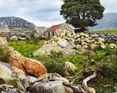 Silent Valley Cottage, Mourne MOUNTAINS, Co. Down, Northern IRELAND, Idyllic Landscape,Irish Photo, St. Patrick 39 s Gift,Pub Decor,Ireland Art
