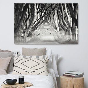 The Dark Hedges, Spooky TREES, Northern IRELAND, Surreal Landscape, Forest Scene, RAVEN, Tree Canopy Road, Flying Blackbirds, Superstition image 2