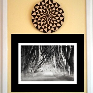 The Dark Hedges, Spooky TREES, Northern IRELAND, Surreal Landscape, Forest Scene, RAVEN, Tree Canopy Road, Flying Blackbirds, Superstition image 5