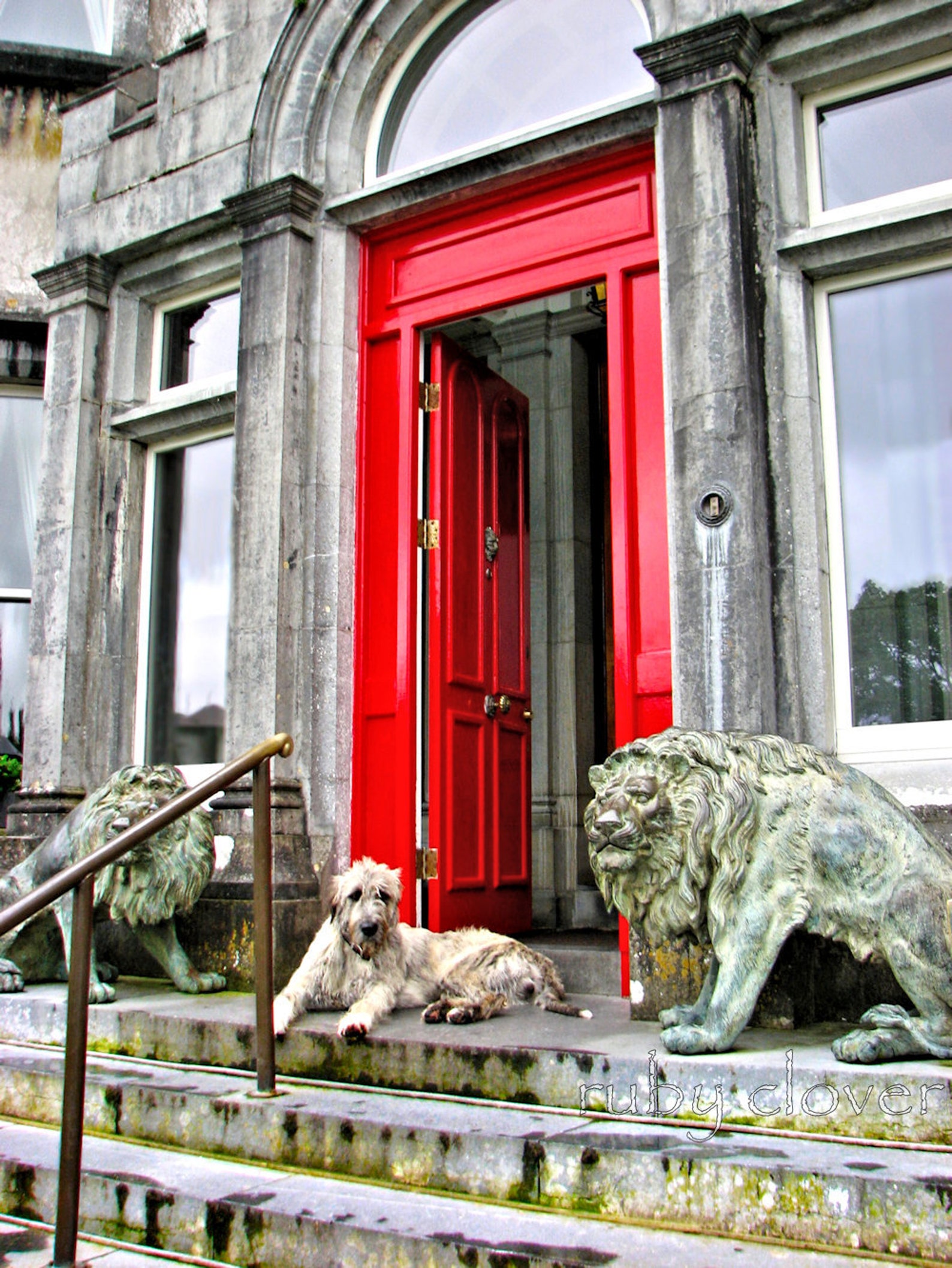 IRISH WOLFHOUND Photo, Red Door, Ballyseede Castle, Co. Kerry,ireland
