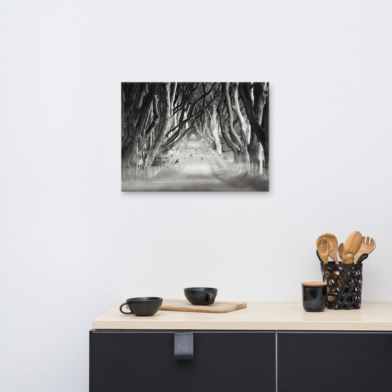 The Dark Hedges, Spooky TREES, Northern IRELAND, Surreal Landscape, Forest Scene, RAVEN, Tree Canopy Road, Flying Blackbirds, Superstition image 4