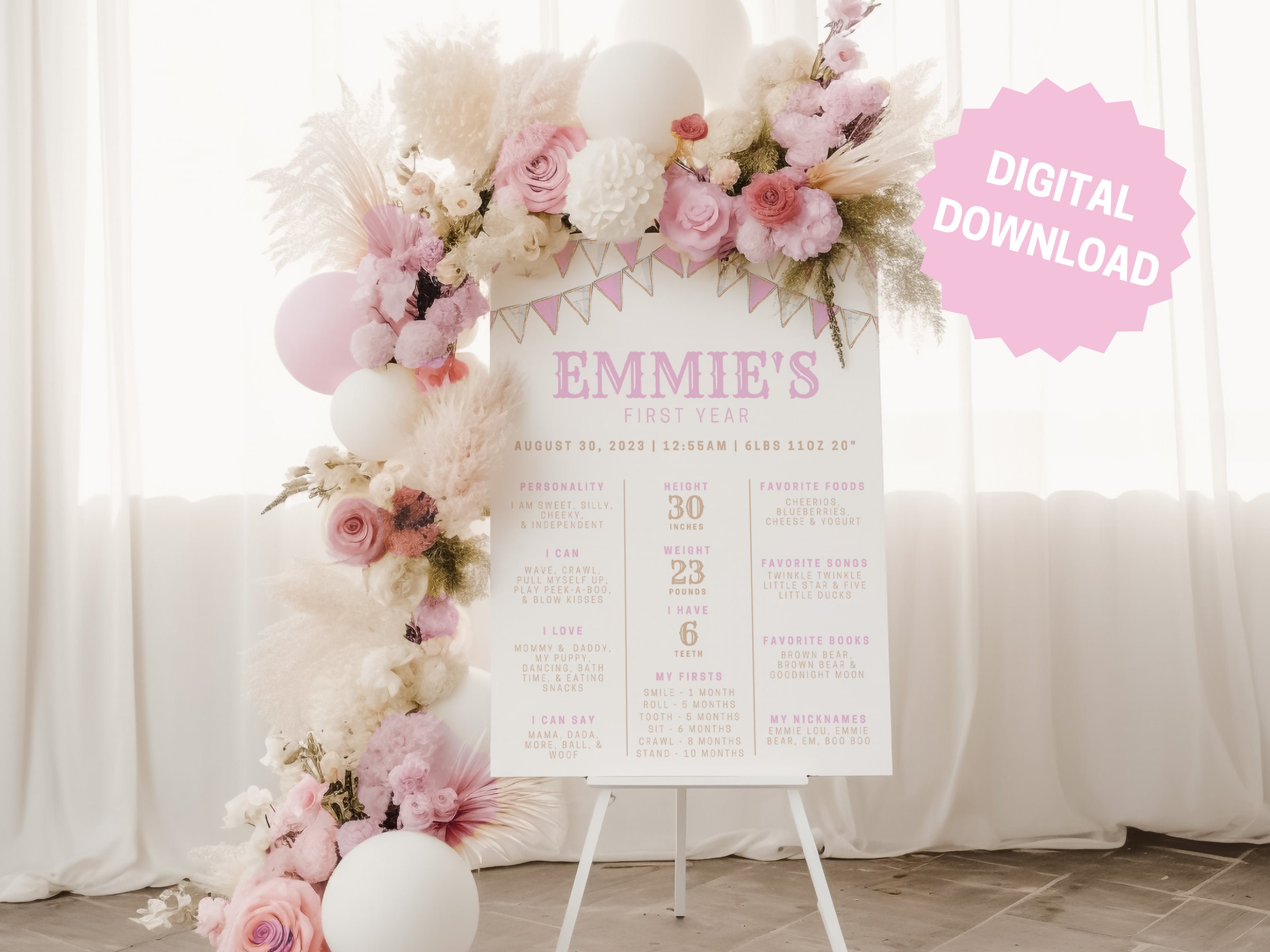 Editable Carnival Carousel Welcome Sign, Carnival Carousel Sign, Pink ...