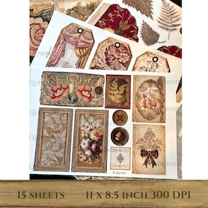 Puede incluir: Una colecci&oacute;n de papel impreso con ilustraciones bot&aacute;nicas de estilo vintage, patrones florales, marcos ornamentados y etiquetas decorativas. Las hojas incluyen varios dise&ntilde;os rectangulares y ovalados con detalles intrincados, que miden 27,9 por 21,6 cm.