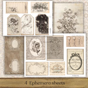 May include: A collection of four digital ephemera sheets featuring vintage-style illustrations, including botanical rose drawings, ornate frames, decorative tags, script handwriting, and architectural sketches in sepia and cream tones with the text QI PRINTS.