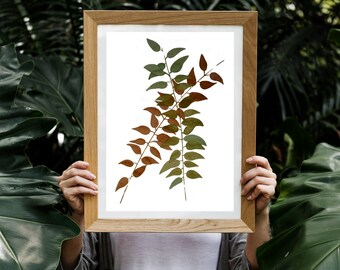 Botanische Twijgen Geel (digitale aquarelprint)