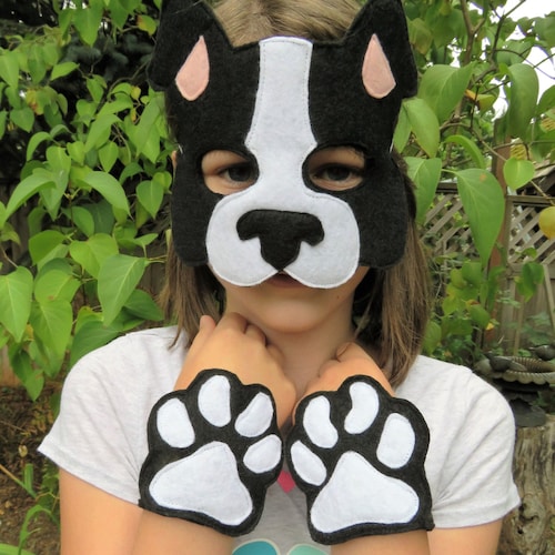 Homemade Dog Costumes For Kids