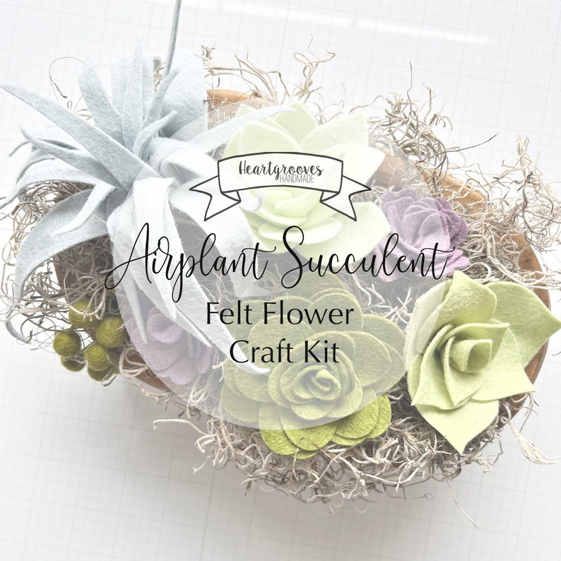 Felt Air Plant Succulent Craft Kit image 7