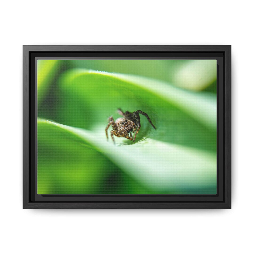 Canvas Wall Art, Macro Photo of a Spider Framed Print, Nature ...