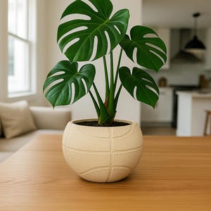 3D Printed Mini Basketball Planter Pot: Modern Indoor Decor