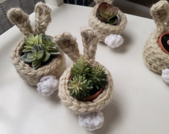Crocheted Bunny Basket with Succulent