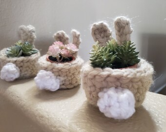 Crocheted Bunny Basket with Succulent