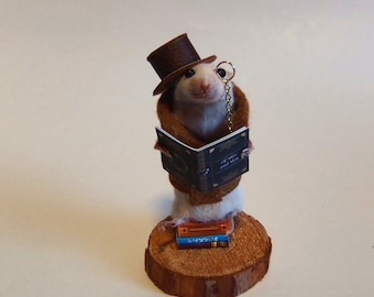 Library Mouse