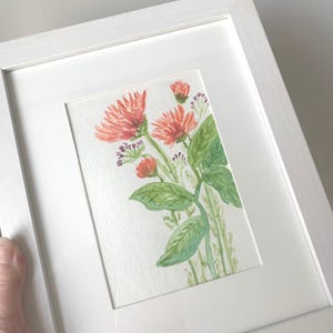 Framed Original Watercolor Painting,Hand Painted Flowers,Botanical Wall Art,Floral Art,Flower Painting,Gift For Nature Lovers,Gardeners