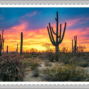 Lebendige Wüste Sonnenuntergang Landschaft gerahmtes Plakat - Saguaro Kaktus Wand Kunst Druck, Southwest Decor