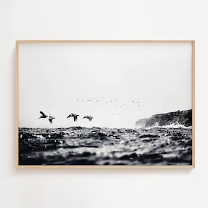 Pelicans Flying Over Ocean | Sea Life Photography Print | Tropical Ocean Lovers | Monochrome Art | Sea Nature Marine | Bird Coastal Print