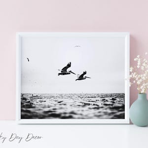 Pelicans Flying | Sea Bird Photography Print | Ocean Mammal Lovers | Monochrome Art | Sea Life Nature Marine | Tropical Bird Coastal Print