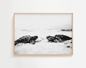 New Born Turtles On Beach | Sea Life Photography Print | Ocean Mammal Lovers | Monochrome Art | Sea Life Nature Marine | Sea Coastal Print