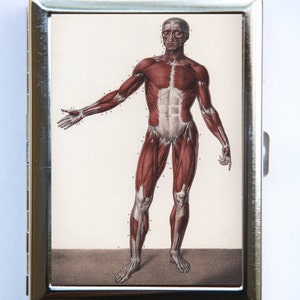 Victorian Anatomy Cigarette Case Wallet Tarjeta de visita Titular gótico extraño médico
