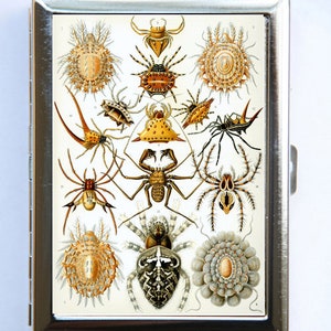 Spiders Ernst Haeckel Cigarette Case Portefeuille de carte de visite
