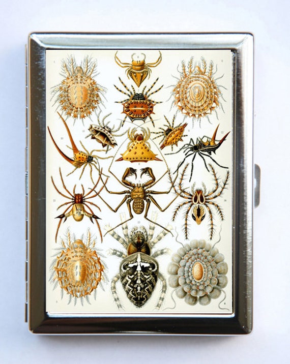 Spiders Ernst Haeckel Cigarette Case Wallet Business Card Holder