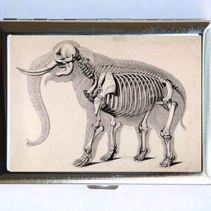 Animal Anatomía Elefante Esqueleto Cigarette Case Cartera Tarjeta de Visita Titular gótico victoriano médico