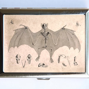 Animal Anatomy Bats Skeleton Cigarette Case Wallet Tarjeta de visita titular gótico victoriano médico