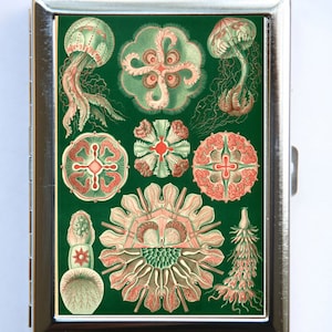 Sea Creatures Cigarette Case Monedero Tarjeta de visita titular náutica hipster náutico
