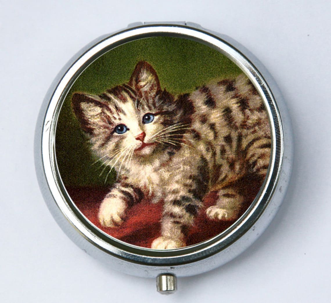 Cat PILL CASE Pillbox Pill Holder Kitsch Cute Kitten Etsy