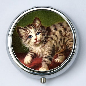 Cat PILL CASE pillbox pill holder kitsch cute kitten