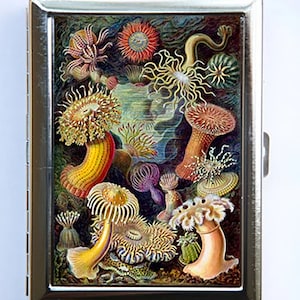 Estuche para cigarrillos con diseño de anémona de mar, cartera, tarjetero, estilo náutico y océano
