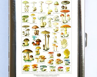 Mushrooms Cigarette Case Wallet Business Card Holder botanical fungi