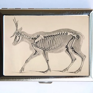 Estuche para cigarrillos con esqueleto de ciervo y anatomía animal, billetera, tarjetero, estilo gótico, victoriano, médico