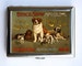 Dog Show Cigarette Case Wallet Business Card Holder id case dogs animals 